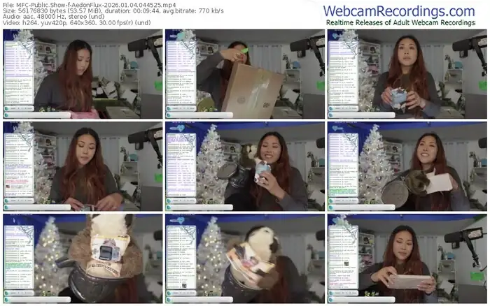 2026/01/04/mfc-aedonflux-04-45-25