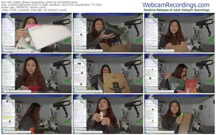 2026/01/04/mfc-aedonflux-04-59-42