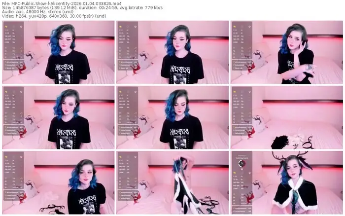 2026/01/04/mfc-alicentity-03-38-26