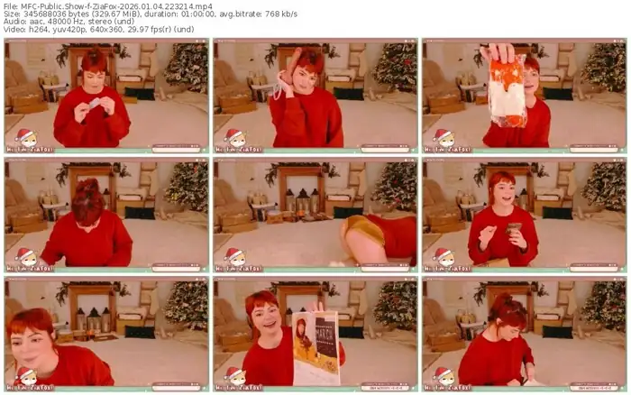 2026/01/04/mfc-ziafox-22-32-14