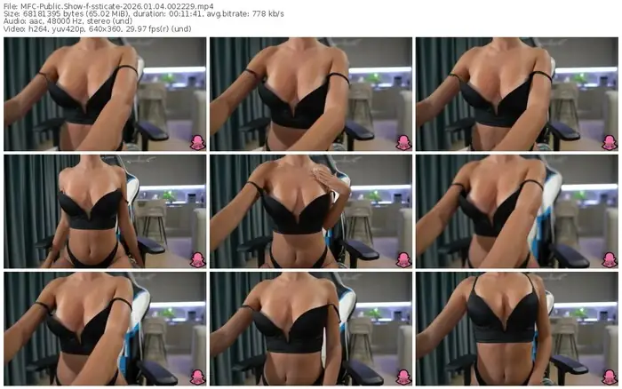 2026/01/04/mfc-ssticate-00-22-29