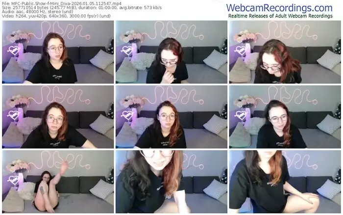 2026/01/05/mfc-mini_diva-11-25-47