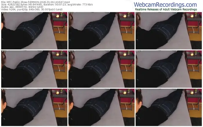 2026/01/06/mfc-erinon-14-16-47