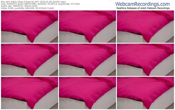 2026/01/08/mfc-squirrel_mfc-22-34-37