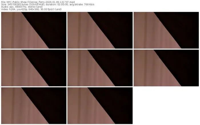 2026/01/09/mfc-denise_perry-12-17-37