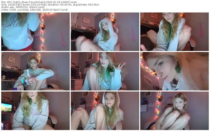 2026/01/09/mfc-duckchan0-16-46-57