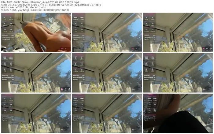 2026/01/09/mfc-russian_ava-10-38-59