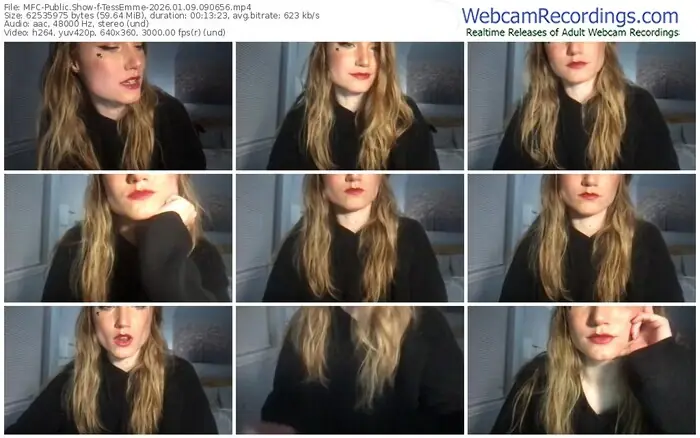 2026/01/09/mfc-tessemme-09-06-56