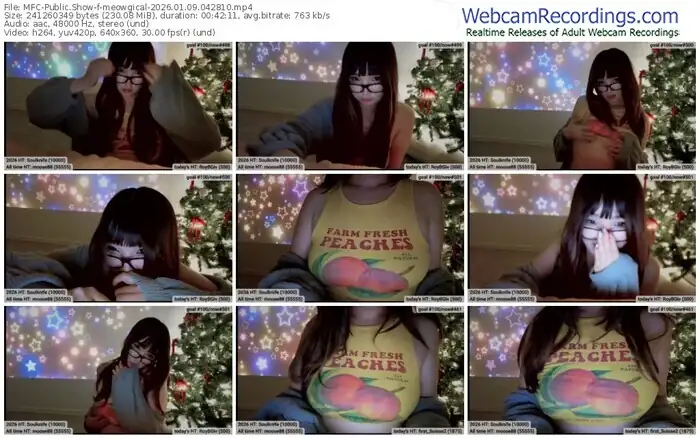 2026/01/09/mfc-meowgical-04-28-10