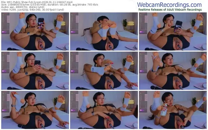 2026/01/11/mfc-a11yson-16-46-47