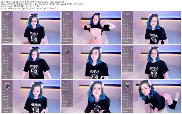 2026/01/11/mfc-alicentity-09-36-02