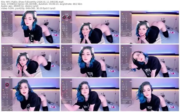 2026/01/11/mfc-alicentity-09-53-35