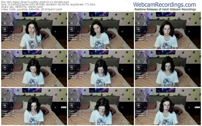 2026/01/11/mfc-lilypoly-00-19-55