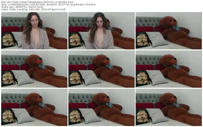 2026/01/12/mfc-breekanne-09-26-52