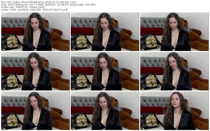 2026/01/13/mfc-breekanne-08-12-01