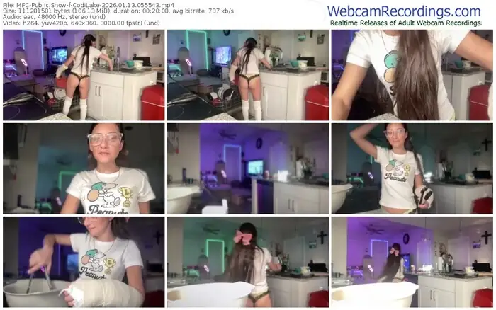 2026/01/13/mfc-codilake-05-55-43