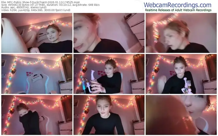 2026/01/13/mfc-duckchan0-17-45-25