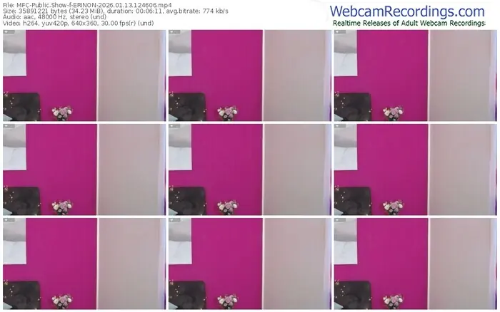 2026/01/13/mfc-erinon-12-46-06