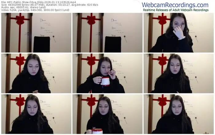 2026/01/13/mfc-eva_eldis-16-35-26