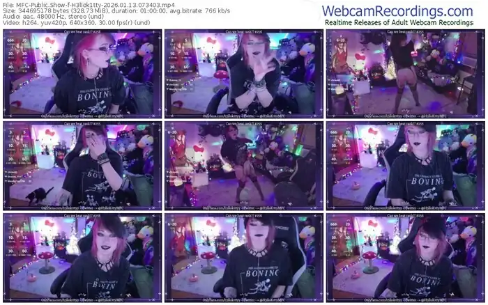 2026/01/13/mfc-h3llok1tty-07-34-03