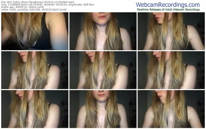 2026/01/13/mfc-tessemme-00-48-44