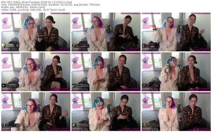 2026/01/13/mfc-meowz-23-31-11