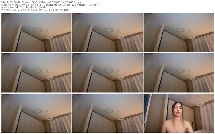 2026/01/14/mfc-skysunflower-22-44-38