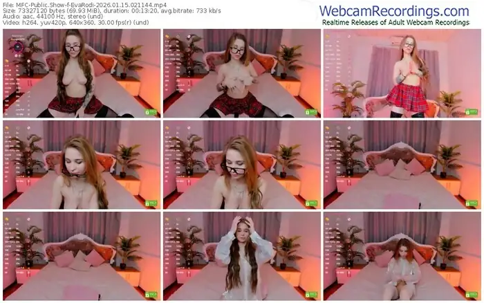 2026/01/15/mfc-evarodi-02-11-44