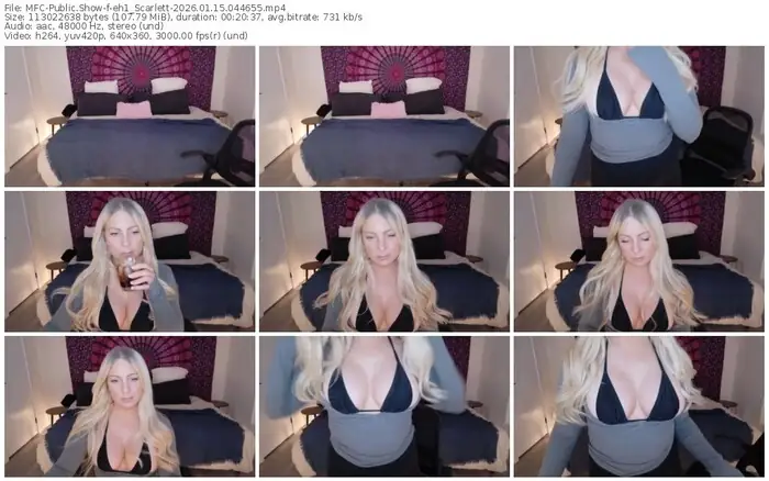 2026/01/15/mfc-eh1_scarlett-04-46-55