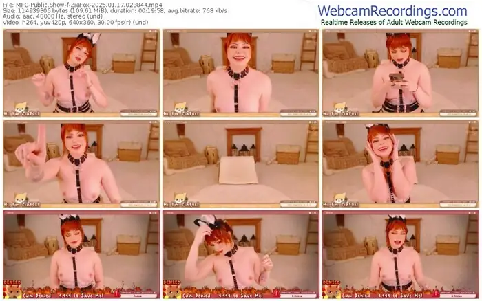 2026/01/17/mfc-ziafox-02-38-44