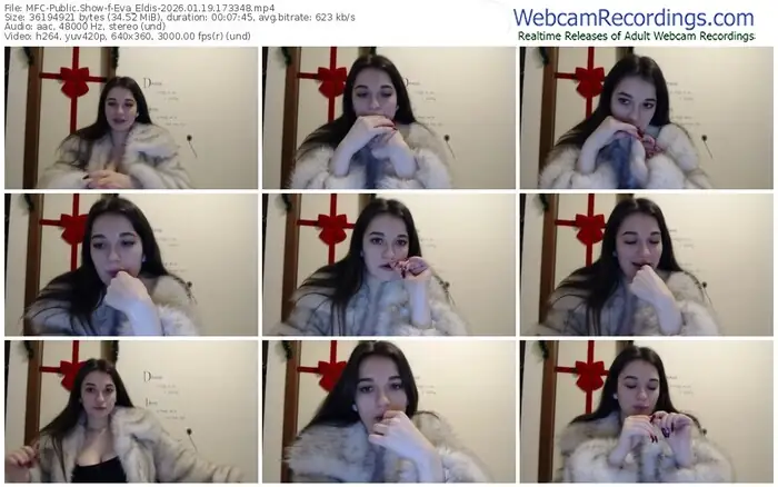 2026/01/19/mfc-eva_eldis-17-33-48