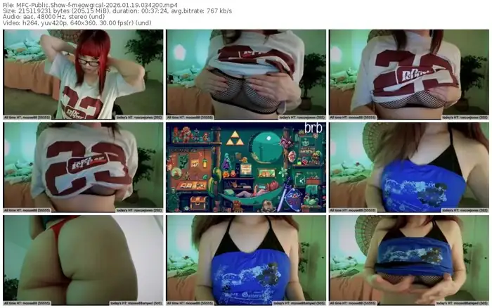 2026/01/19/mfc-meowgical-03-42-00