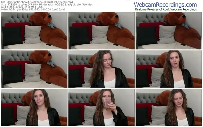 2026/01/21/mfc-breekanne-13-40-01