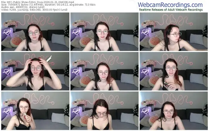 2026/01/21/mfc-mini_diva-09-43-36