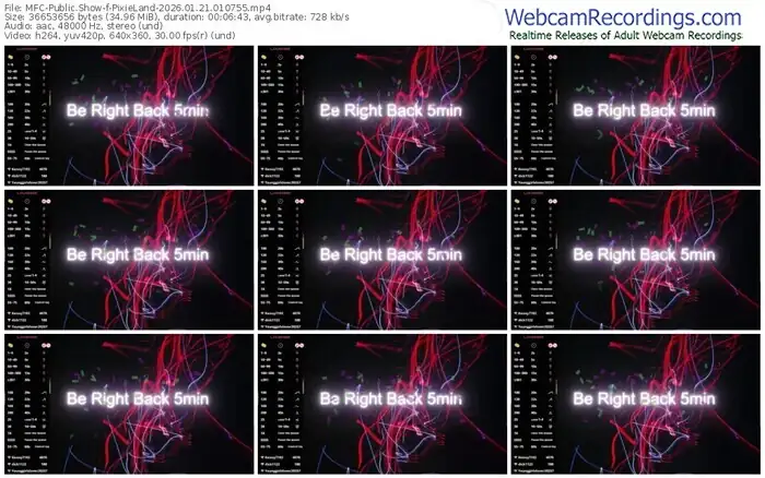 2026/01/21/mfc-pixieland-01-07-55