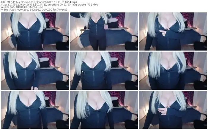 2026/01/21/mfc-eh1_scarlett-11-16-04