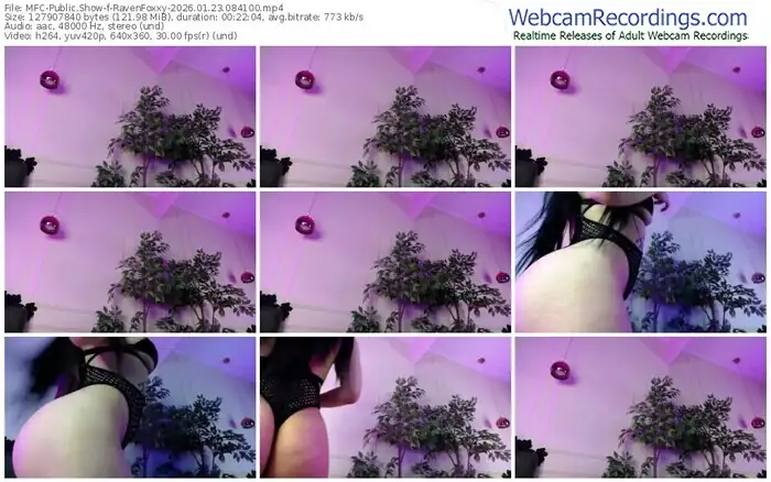 2026/01/23/mfc-ravenfoxxy-08-41-00