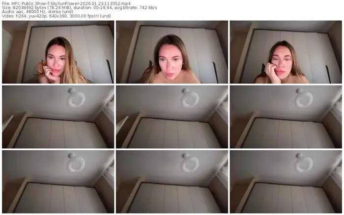 2026/01/23/mfc-skysunflower-11-33-52