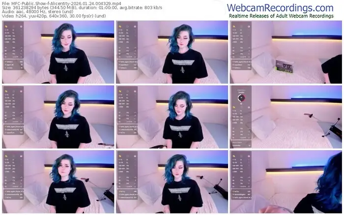 2026/01/24/mfc-alicentity-00-43-29