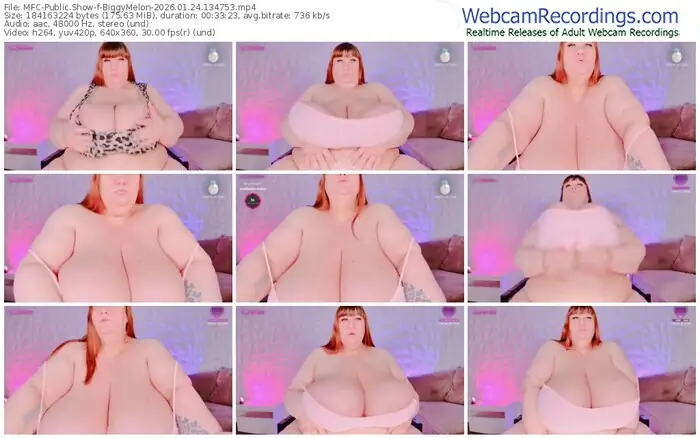 2026/01/24/mfc-biggymelon-13-47-53