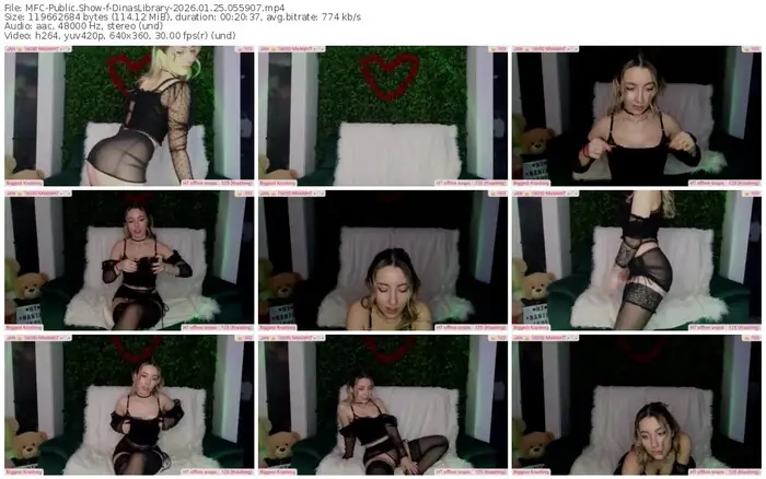 2026/01/25/mfc-dinaslibrary-05-59-07