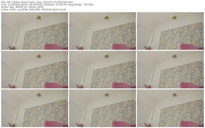 2026/01/25/mfc-iam_lorry-08-52-48