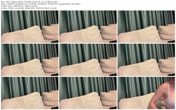 2026/01/25/mfc-pujie-11-08-12