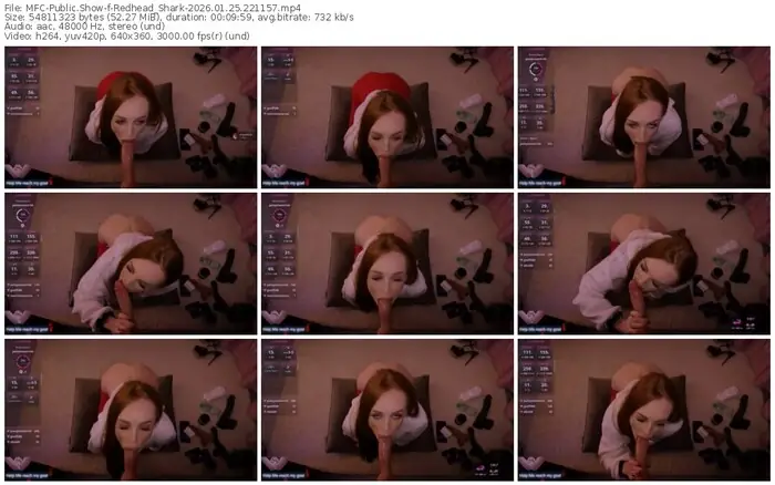 2026/01/25/mfc-redhead_shark-22-11-57