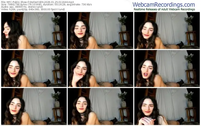 2026/01/25/mfc-stellavixen-01-16-44