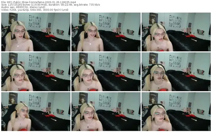 2026/01/26/mfc-annatame-12-40-35