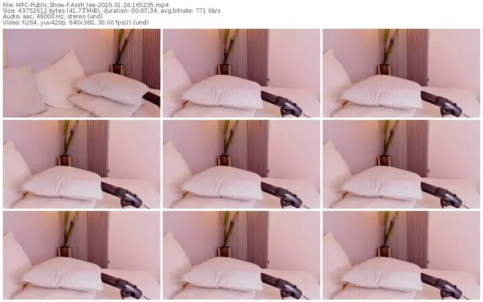 2026/01/26/mfc-assh_lee-16-52-35