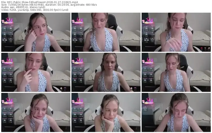 2026/01/27/mfc-blueflowerr-22-28-21