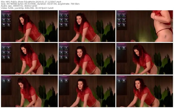 2026/01/27/mfc-evamo0n-12-35-47