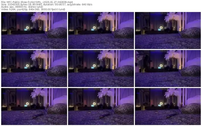 2026/01/27/mfc-uglygirl_-04-28-39
